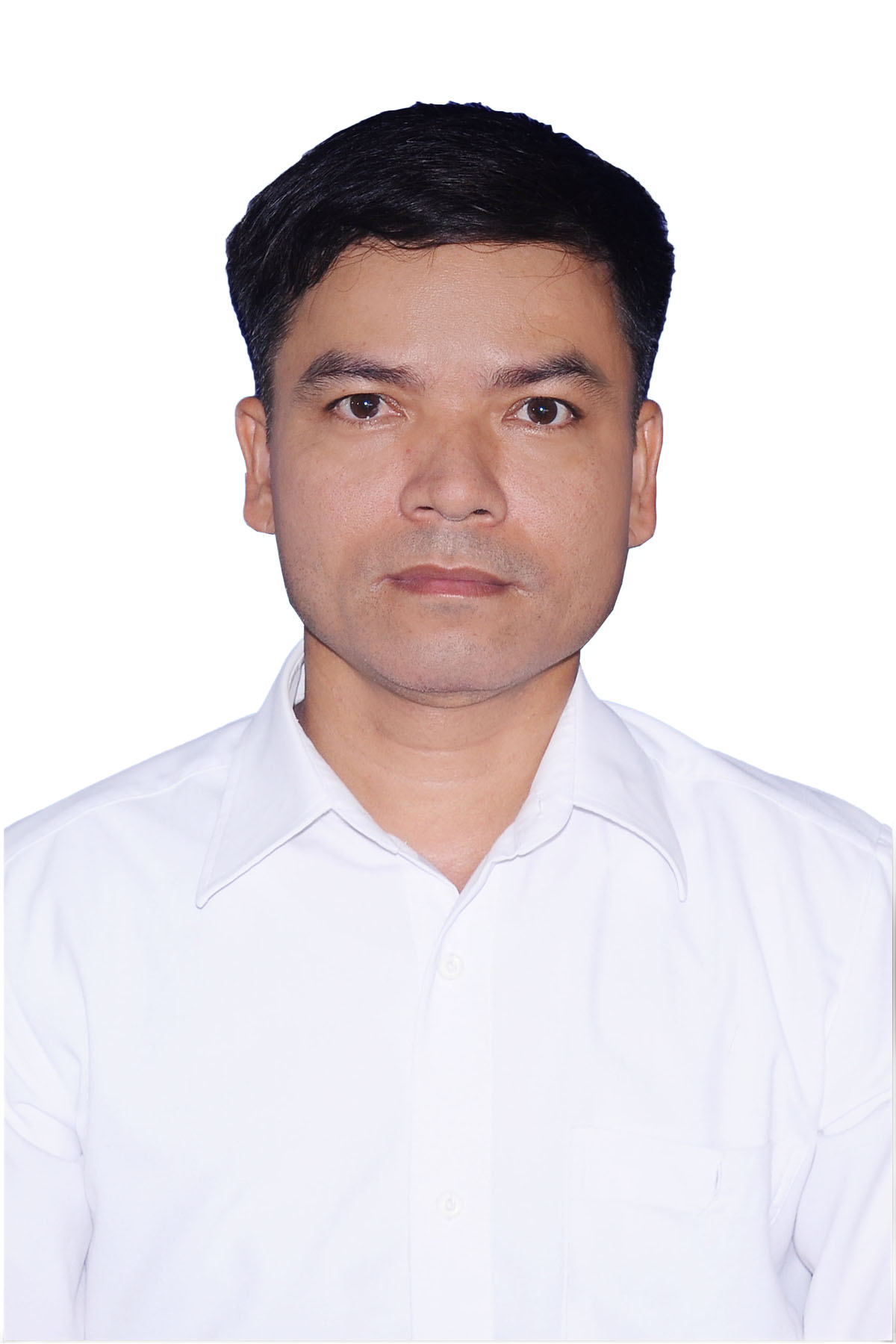 Không có ảnh